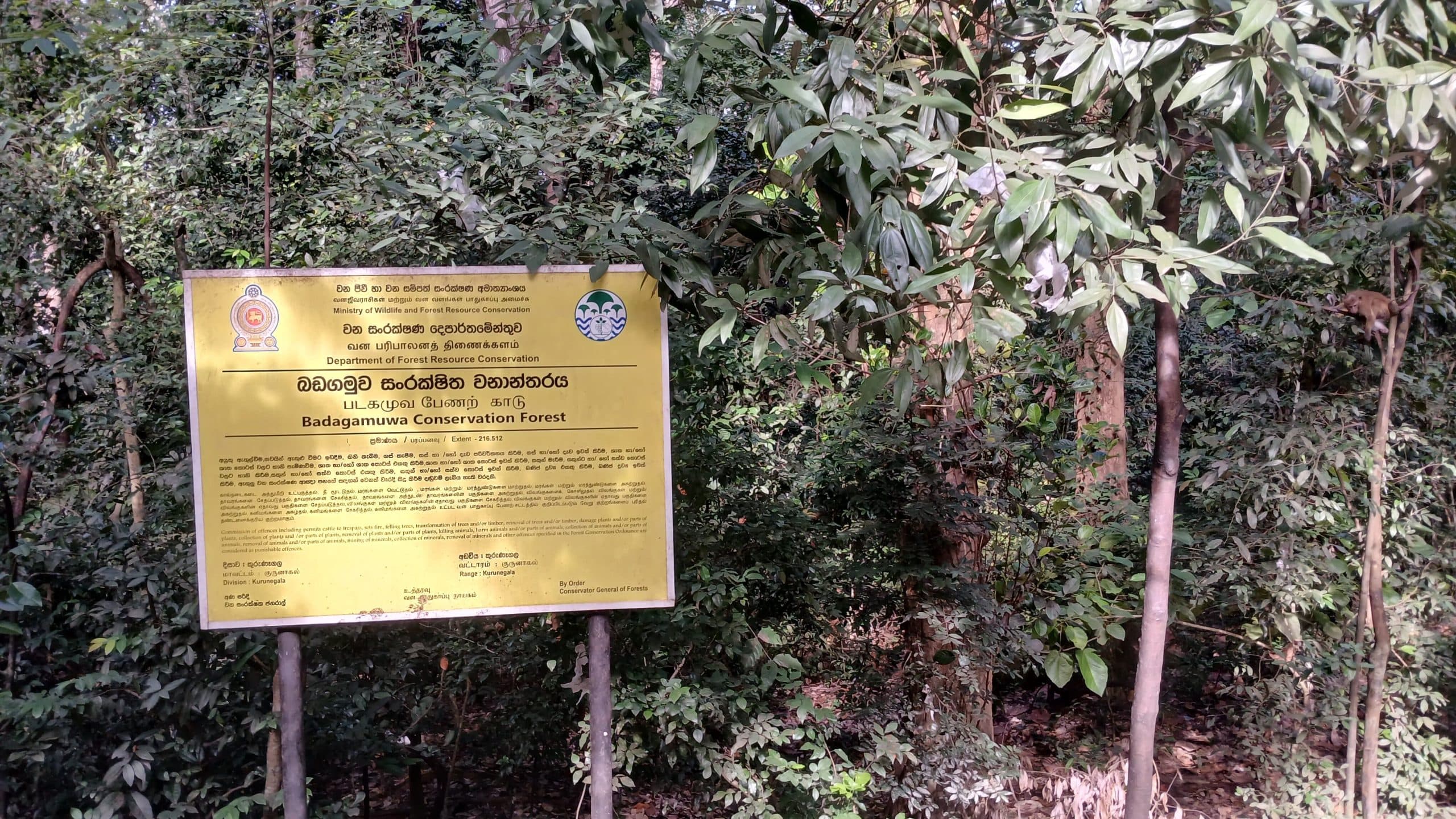 Badagamuwa Conservation Forest