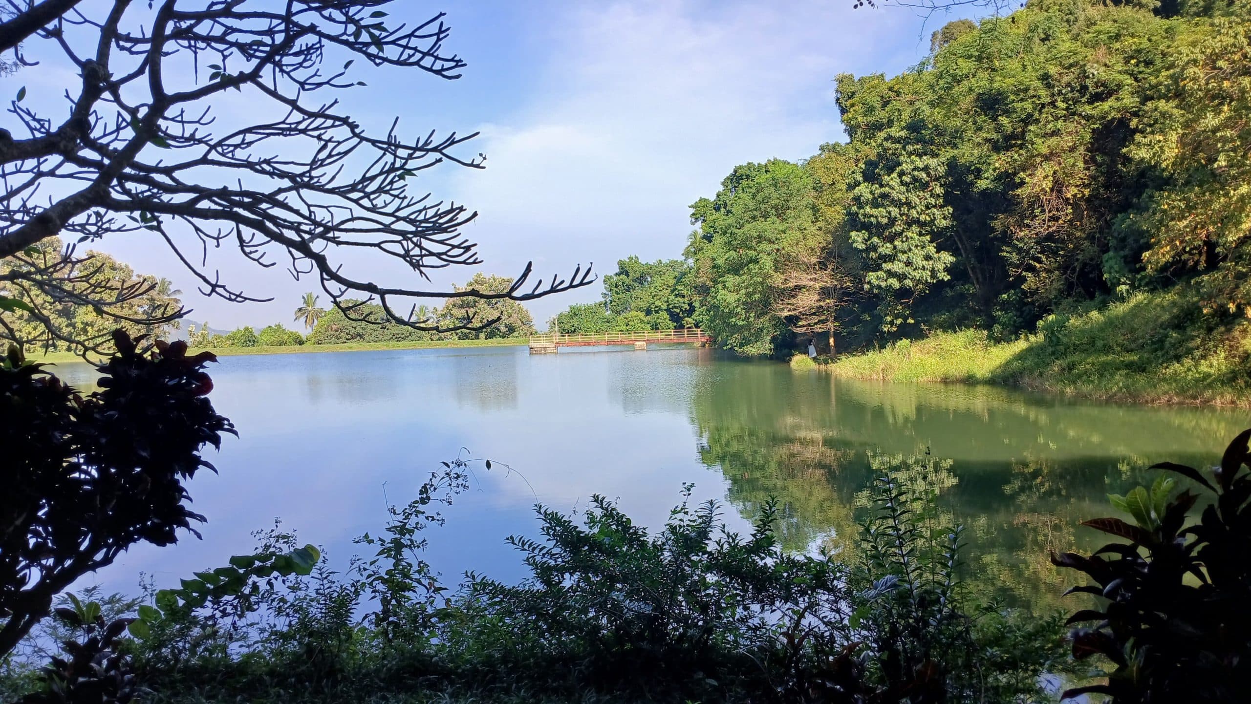 Thampana Forest Reservoir