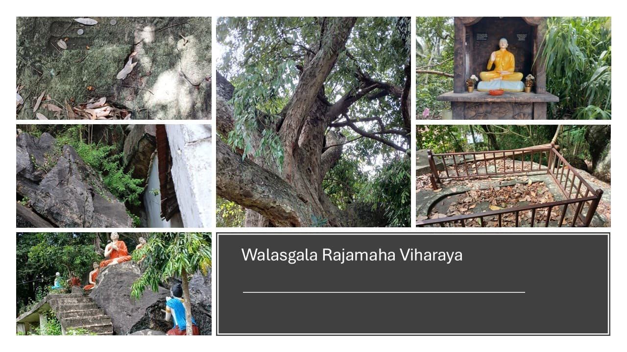 Walasgala Rajamaha Viharaya