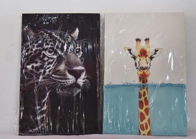 Canvas wall art and framed prints by Getphi, photograph 3